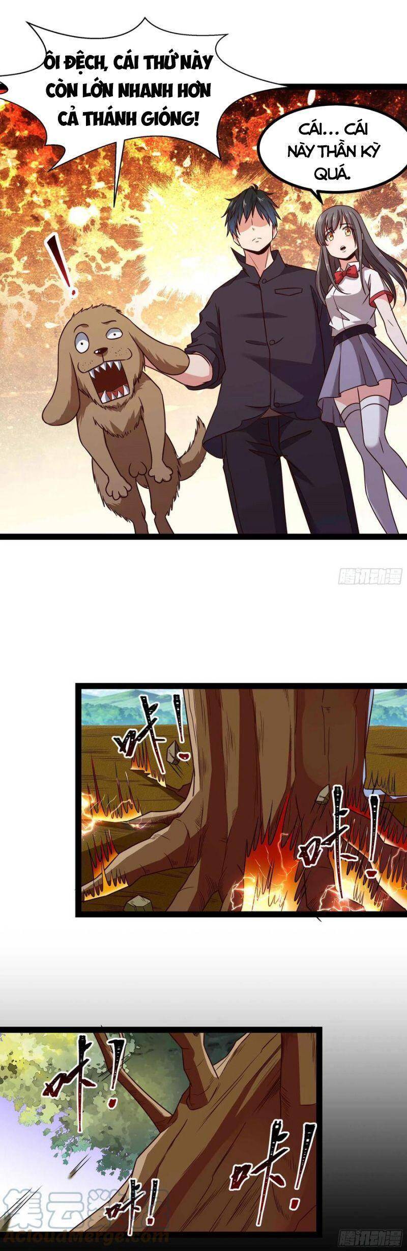 Trùng Sinh Đô Thị Thiên Tôn Chapter 299 - Trang 2