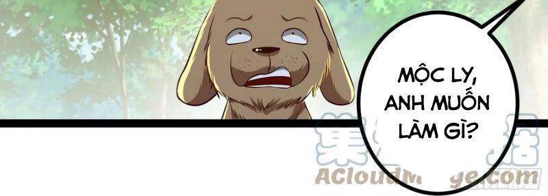 Trùng Sinh Đô Thị Thiên Tôn Chapter 302 - Trang 2