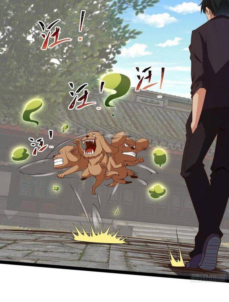 Trùng Sinh Đô Thị Thiên Tôn Chapter 311 - Trang 2