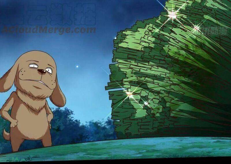 Trùng Sinh Đô Thị Thiên Tôn Chapter 313 - Trang 2