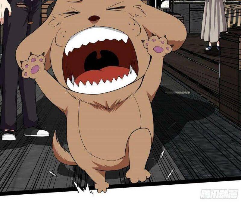 Trùng Sinh Đô Thị Thiên Tôn Chapter 337 - Trang 2