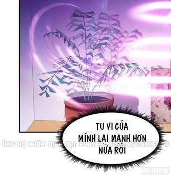 Trùng Sinh Đô Thị Thiên Tôn Chapter 76 - Trang 2