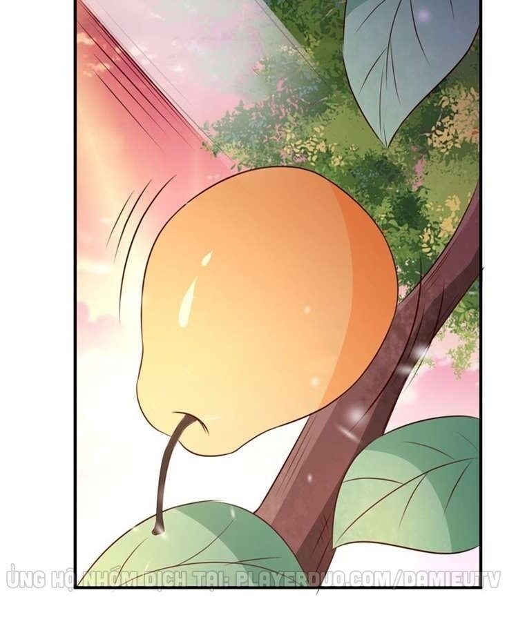 Trùng Sinh Đô Thị Thiên Tôn Chapter 81 - Trang 2