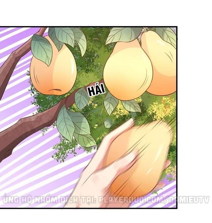 Trùng Sinh Đô Thị Thiên Tôn Chapter 81 - Trang 2