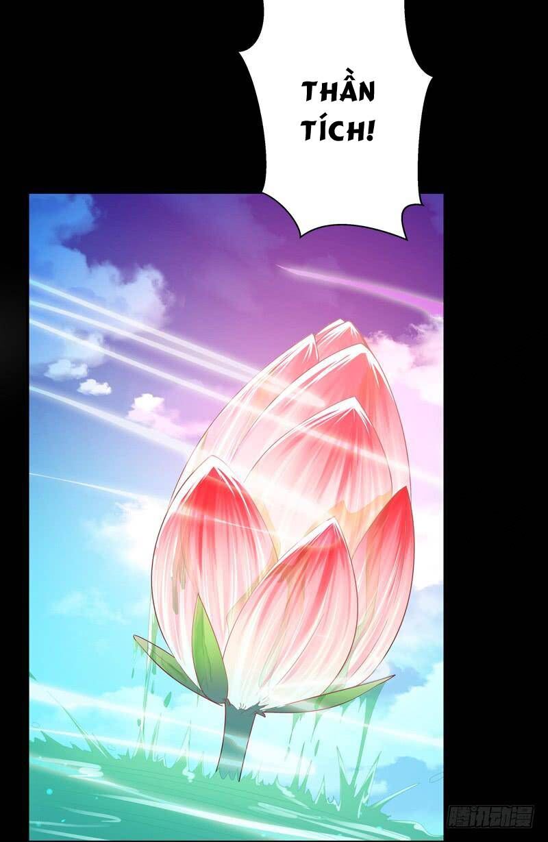 Trùng Sinh Đô Thị Thiên Tôn Chapter 91 - Trang 2