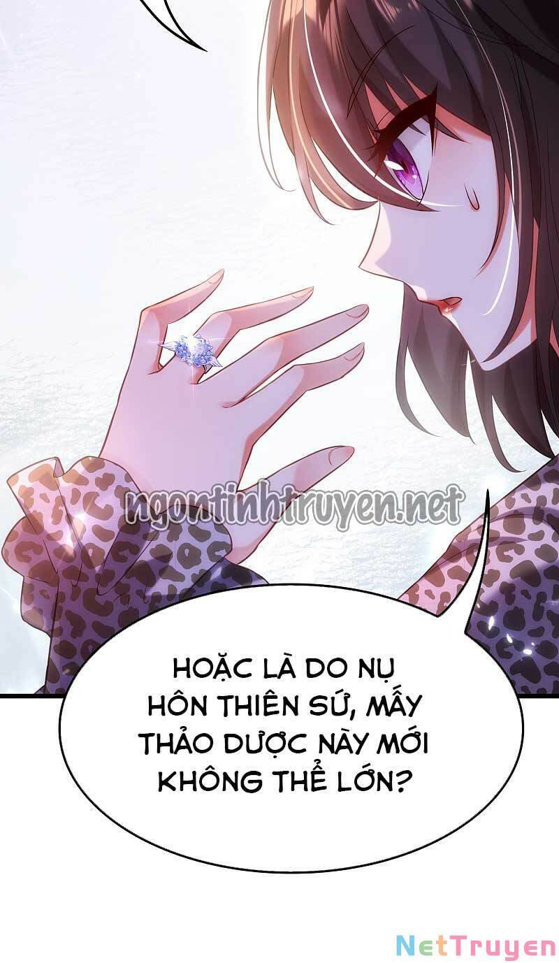 Trùng Sinh Không Gian: Cô Vợ Hào Môn Nóng Bỏng Không Dễ Chọc Chapter 108 - Trang 2