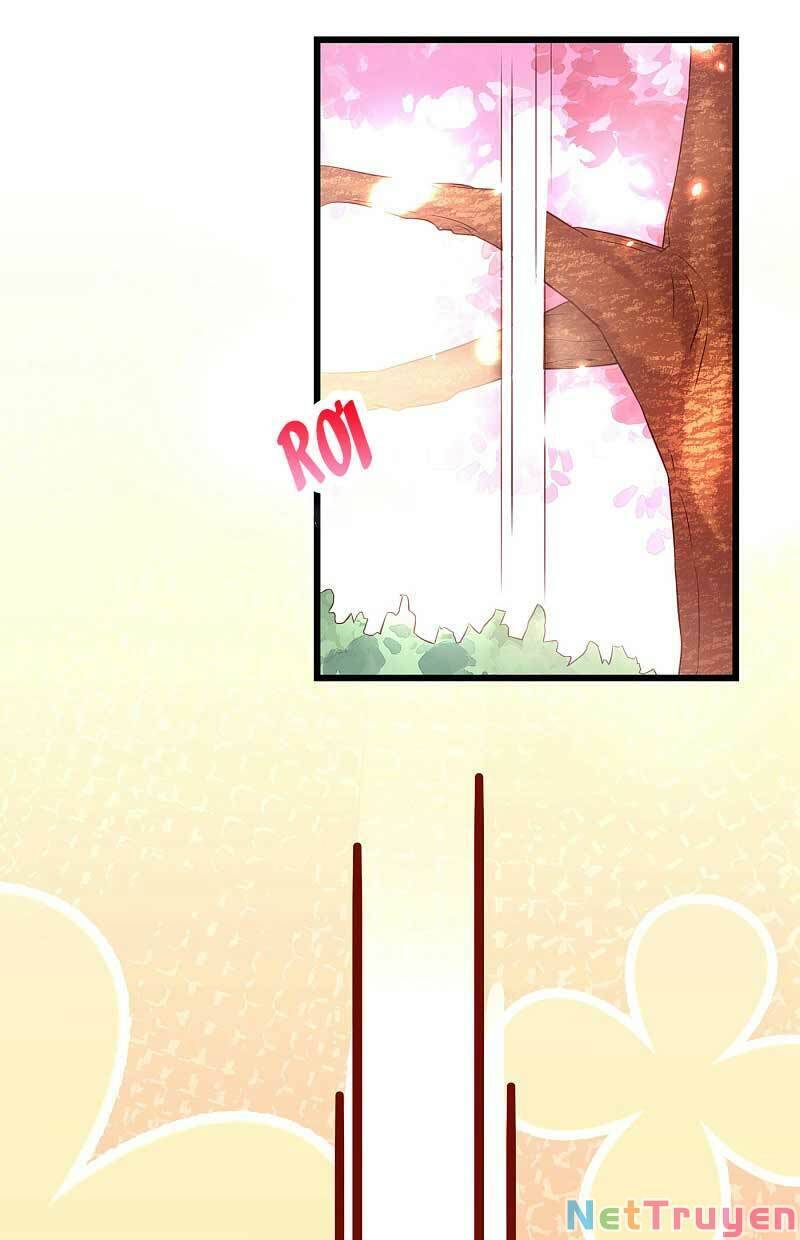 Trùng Sinh Không Gian: Cô Vợ Hào Môn Nóng Bỏng Không Dễ Chọc Chapter 109 - Trang 2