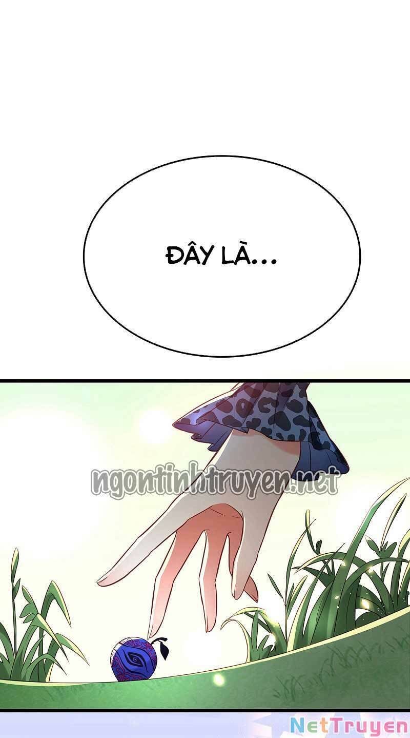 Trùng Sinh Không Gian: Cô Vợ Hào Môn Nóng Bỏng Không Dễ Chọc Chapter 109 - Trang 2