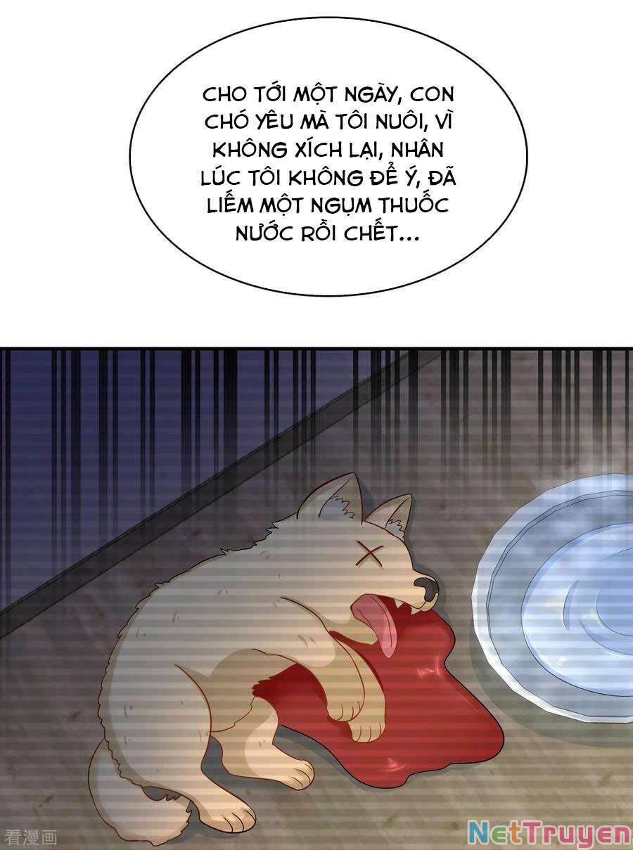 Trùng Sinh Không Gian: Cô Vợ Hào Môn Nóng Bỏng Không Dễ Chọc Chapter 125 - Trang 2