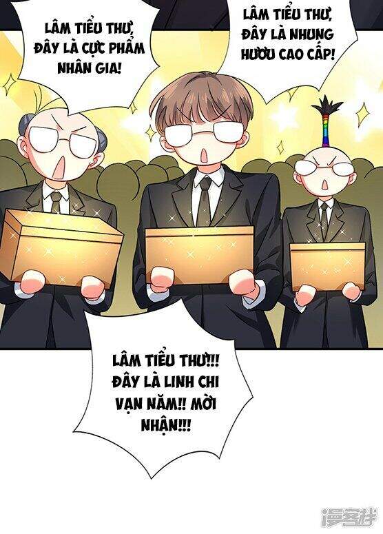 Trùng Sinh Không Gian: Cô Vợ Hào Môn Nóng Bỏng Không Dễ Chọc Chapter 14 - Trang 2