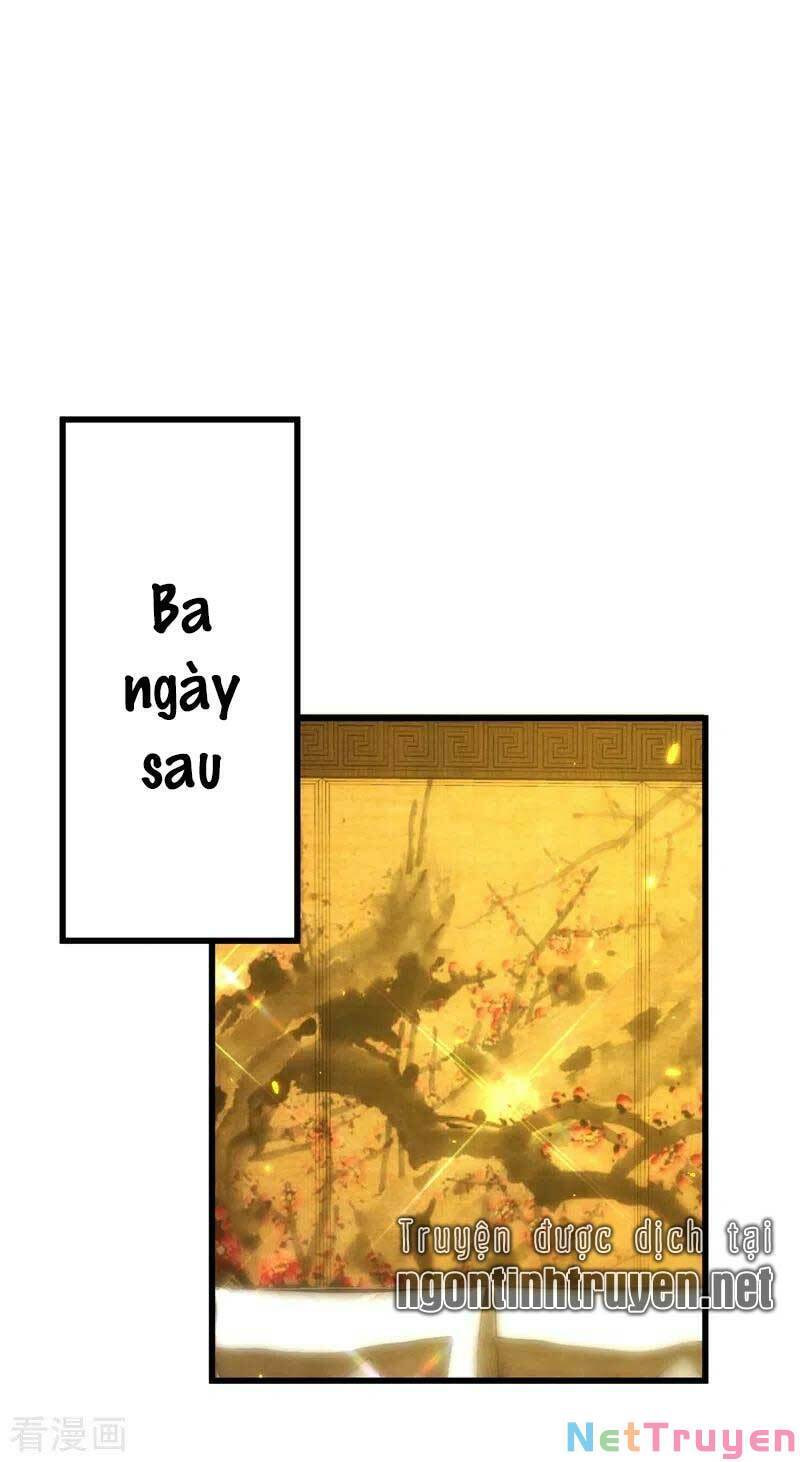 Trùng Sinh Không Gian: Cô Vợ Hào Môn Nóng Bỏng Không Dễ Chọc Chapter 141 - Trang 2