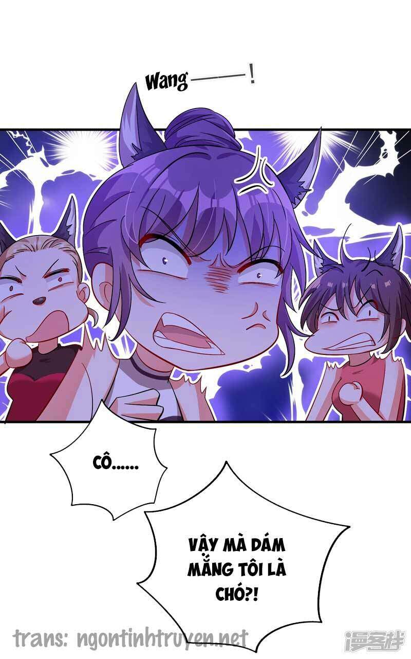 Trùng Sinh Không Gian: Cô Vợ Hào Môn Nóng Bỏng Không Dễ Chọc Chapter 15 - Trang 2