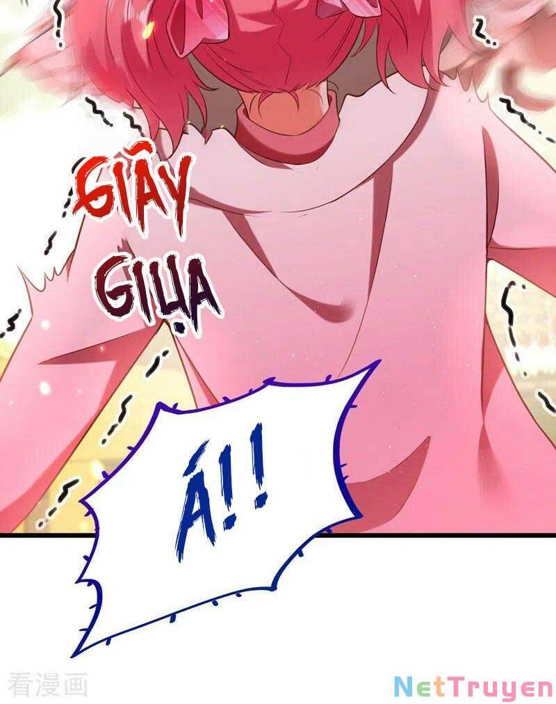 Trùng Sinh Không Gian: Cô Vợ Hào Môn Nóng Bỏng Không Dễ Chọc Chapter 155 - Trang 2