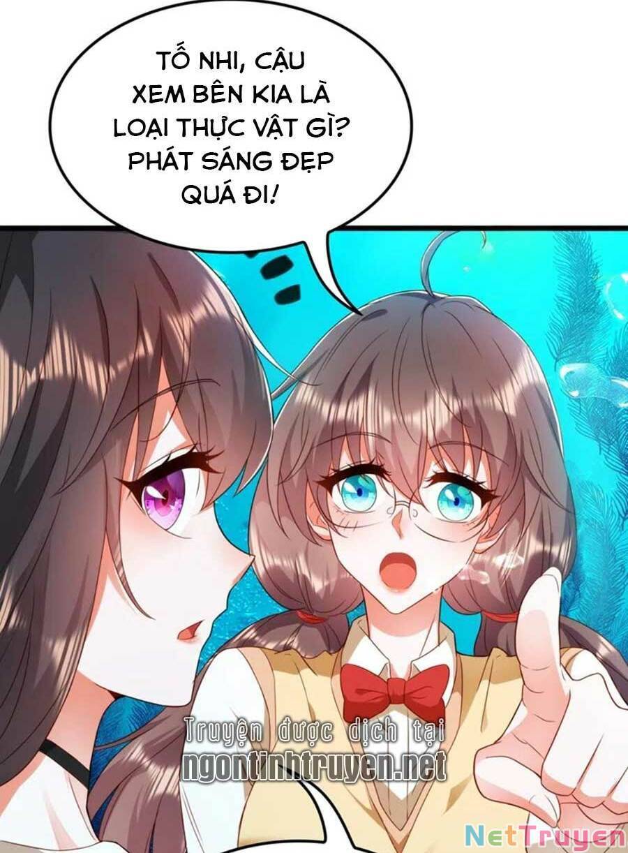 Trùng Sinh Không Gian: Cô Vợ Hào Môn Nóng Bỏng Không Dễ Chọc Chapter 169 - Trang 2