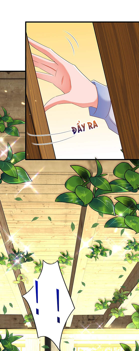 Trùng Sinh Không Gian: Cô Vợ Hào Môn Nóng Bỏng Không Dễ Chọc Chapter 209 - Trang 2