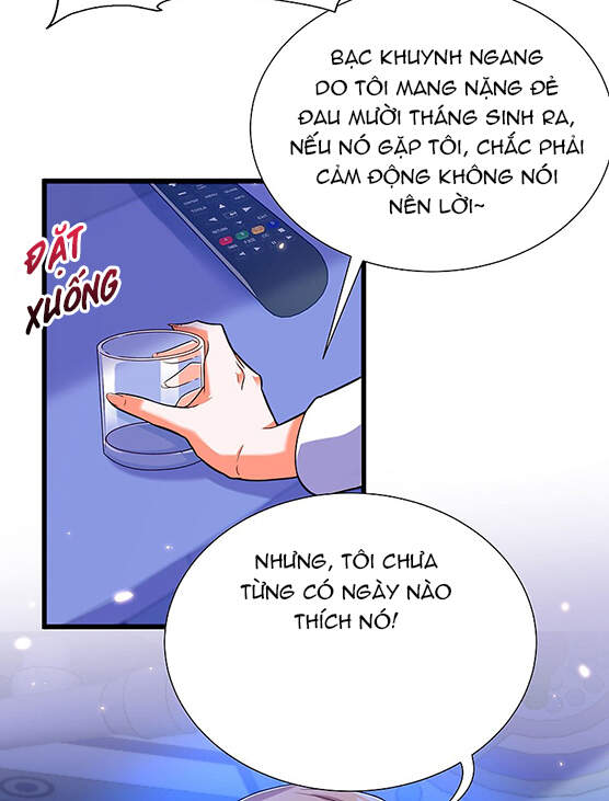 Trùng Sinh Không Gian: Cô Vợ Hào Môn Nóng Bỏng Không Dễ Chọc Chapter 227 - Trang 2