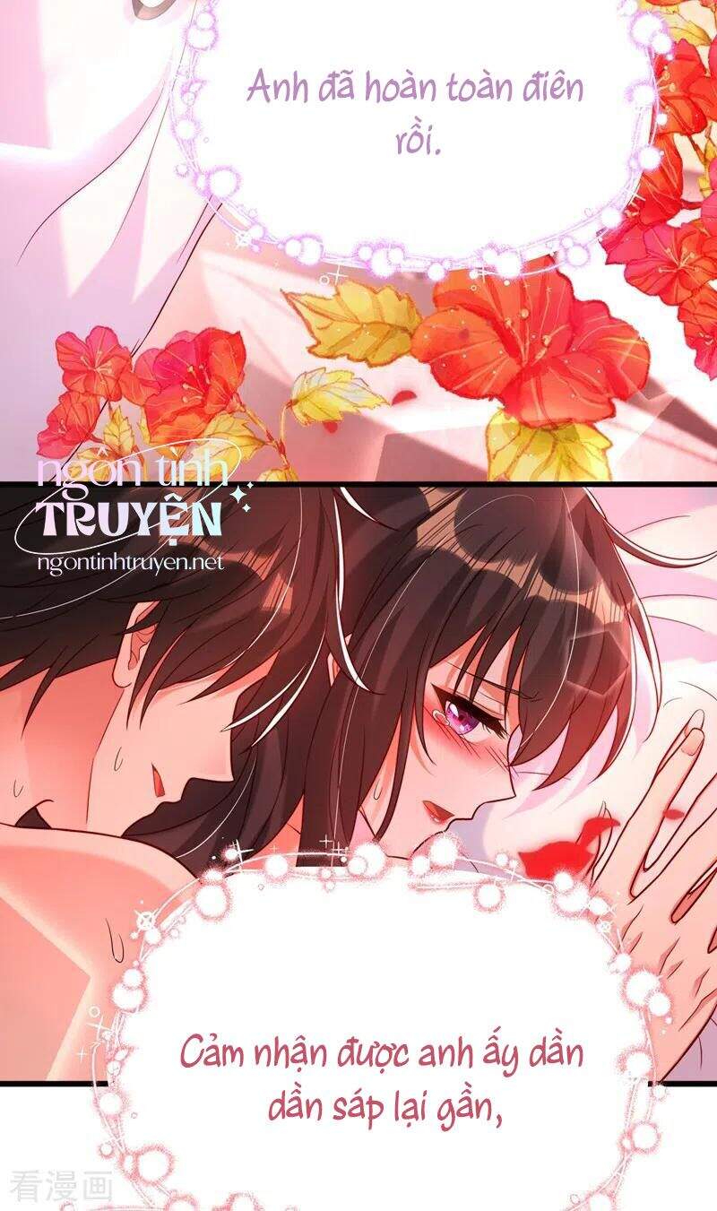 Trùng Sinh Không Gian: Cô Vợ Hào Môn Nóng Bỏng Không Dễ Chọc Chapter 240 - Trang 2