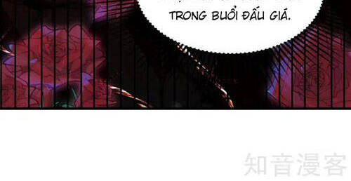 Trùng Sinh Không Gian: Cô Vợ Hào Môn Nóng Bỏng Không Dễ Chọc Chapter 269 - Trang 2