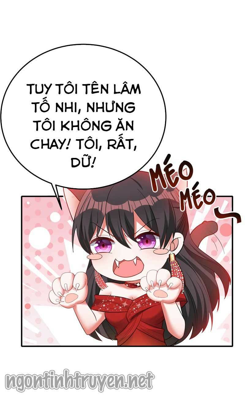 Trùng Sinh Không Gian: Cô Vợ Hào Môn Nóng Bỏng Không Dễ Chọc Chapter 29 - Trang 2