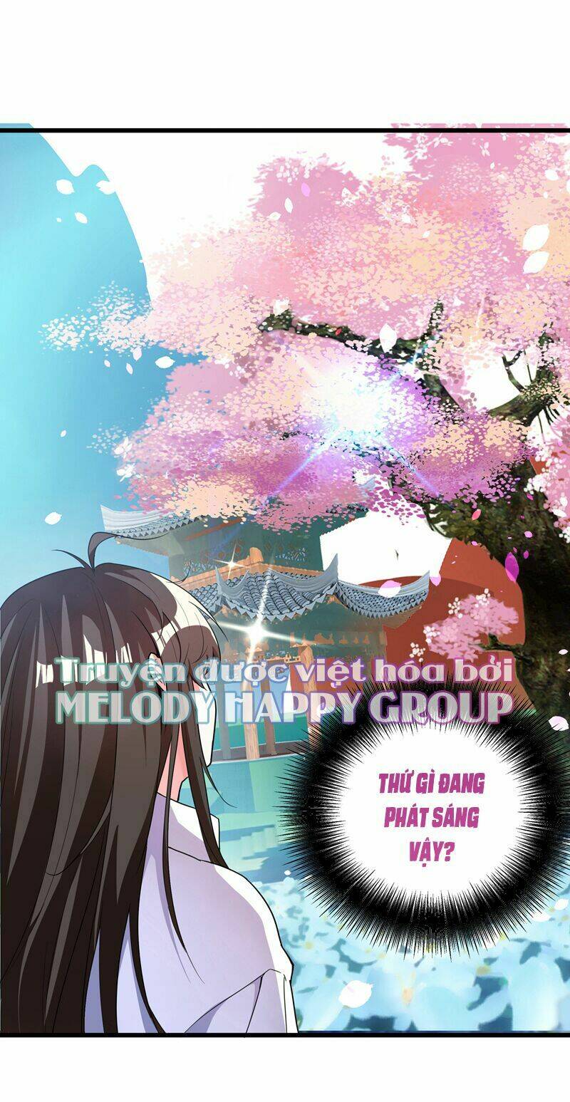 Trùng Sinh Không Gian: Cô Vợ Hào Môn Nóng Bỏng Không Dễ Chọc Chapter 3.1 - Trang 2