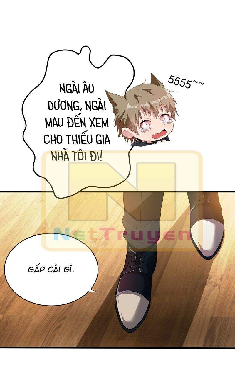 Trùng Sinh Không Gian: Cô Vợ Hào Môn Nóng Bỏng Không Dễ Chọc Chapter 3.5 - Trang 2