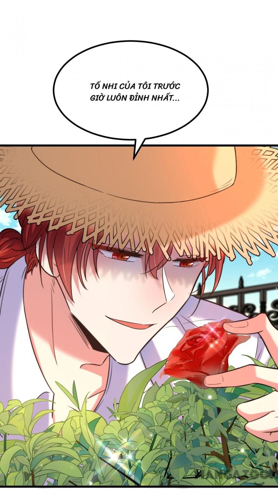 Trùng Sinh Không Gian: Cô Vợ Hào Môn Nóng Bỏng Không Dễ Chọc Chapter 334 - Trang 2