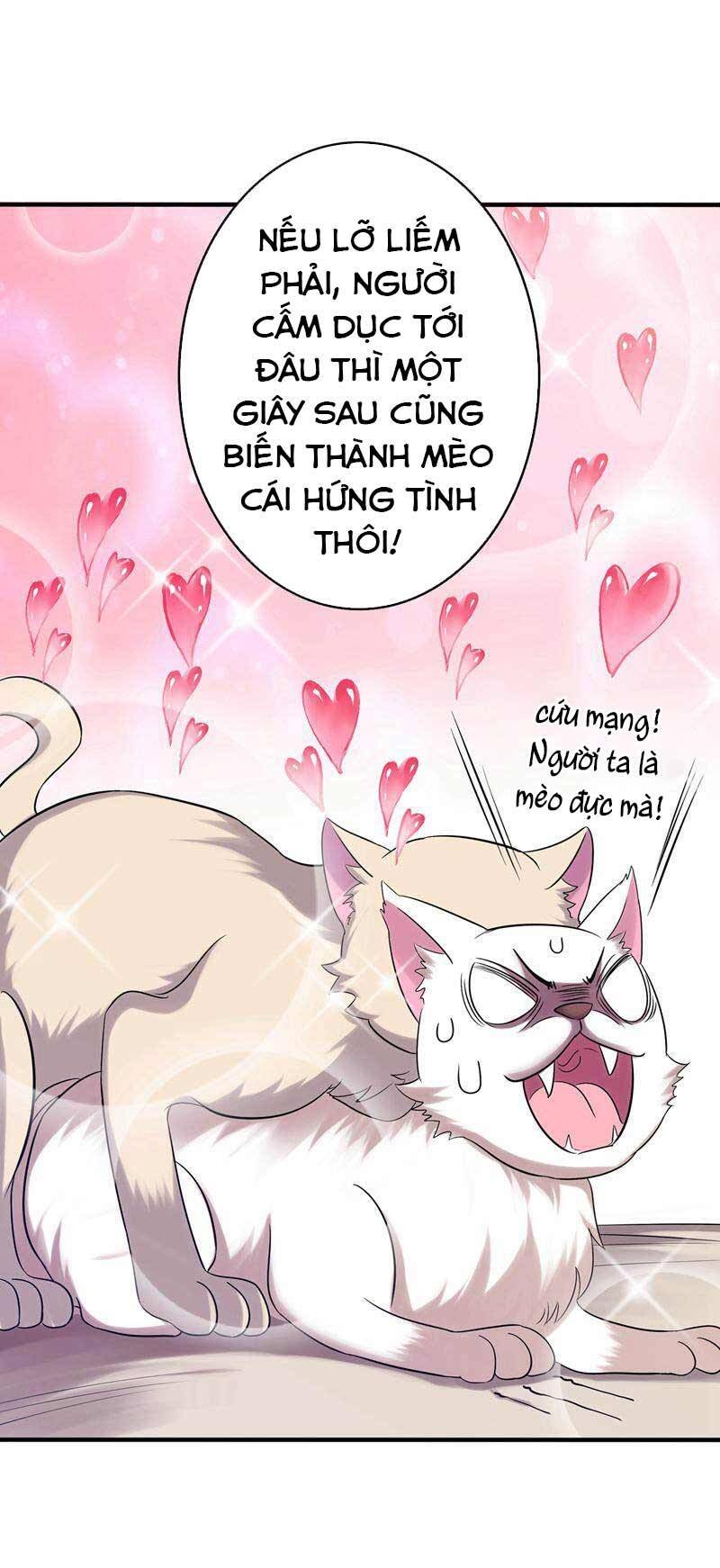 Trùng Sinh Không Gian: Cô Vợ Hào Môn Nóng Bỏng Không Dễ Chọc Chapter 43 - Trang 2