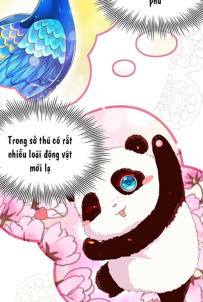 Trùng Sinh Không Gian: Cô Vợ Hào Môn Nóng Bỏng Không Dễ Chọc Chapter 54 - Trang 2