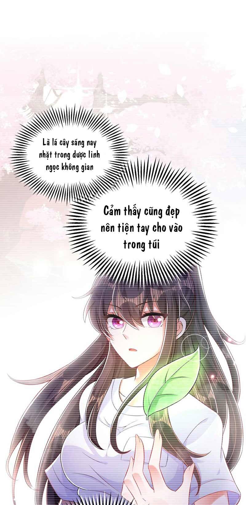 Trùng Sinh Không Gian: Cô Vợ Hào Môn Nóng Bỏng Không Dễ Chọc Chapter 57 - Trang 2