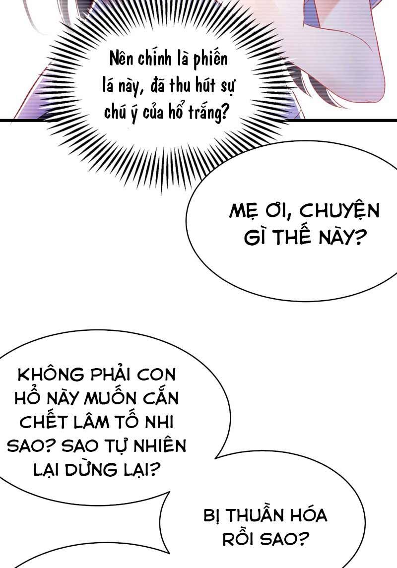 Trùng Sinh Không Gian: Cô Vợ Hào Môn Nóng Bỏng Không Dễ Chọc Chapter 57 - Trang 2