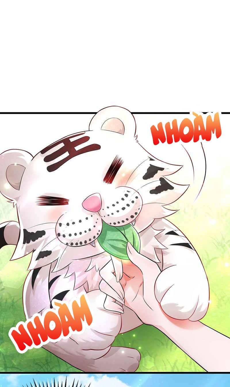 Trùng Sinh Không Gian: Cô Vợ Hào Môn Nóng Bỏng Không Dễ Chọc Chapter 57 - Trang 2