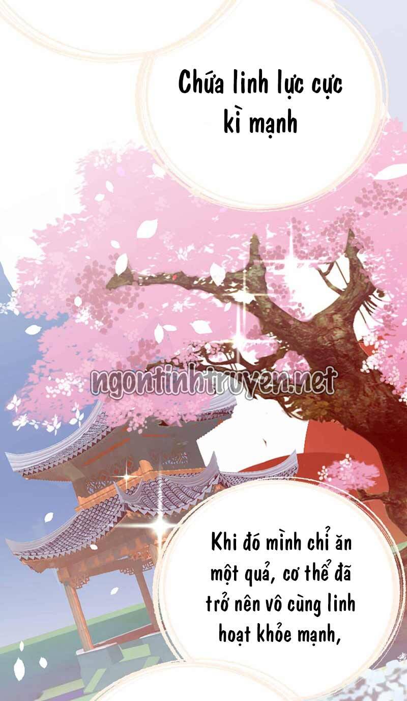 Trùng Sinh Không Gian: Cô Vợ Hào Môn Nóng Bỏng Không Dễ Chọc Chapter 57 - Trang 2