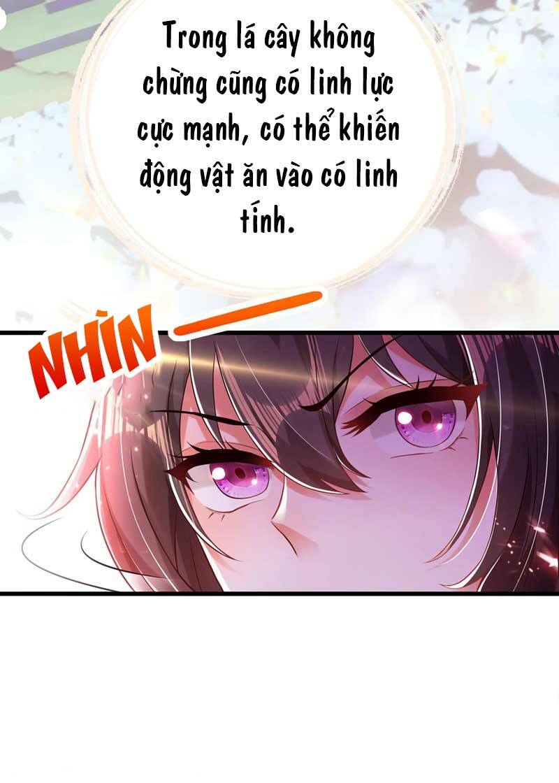 Trùng Sinh Không Gian: Cô Vợ Hào Môn Nóng Bỏng Không Dễ Chọc Chapter 57 - Trang 2