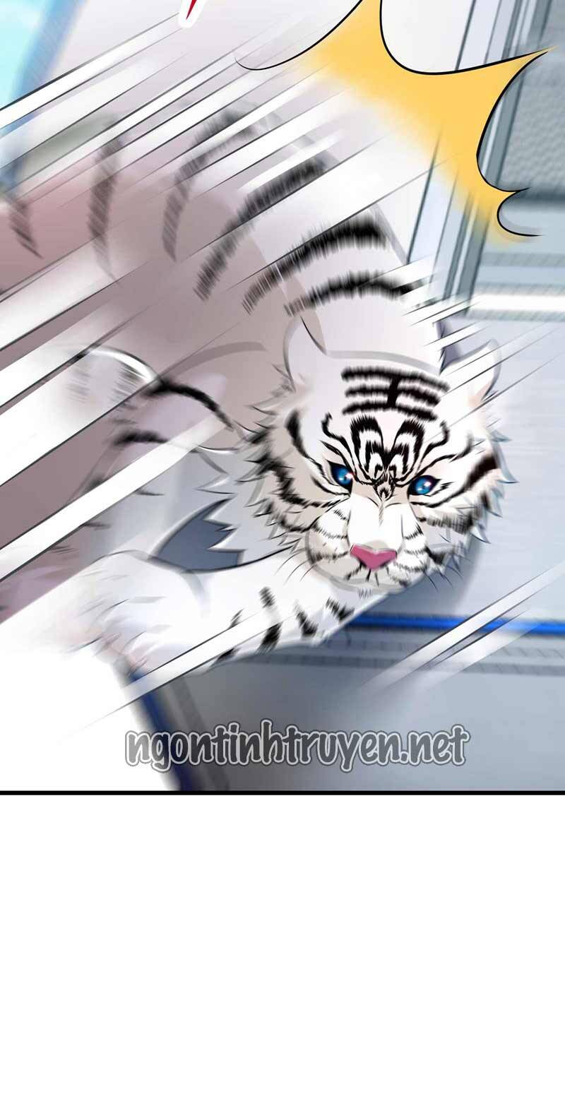 Trùng Sinh Không Gian: Cô Vợ Hào Môn Nóng Bỏng Không Dễ Chọc Chapter 57 - Trang 2