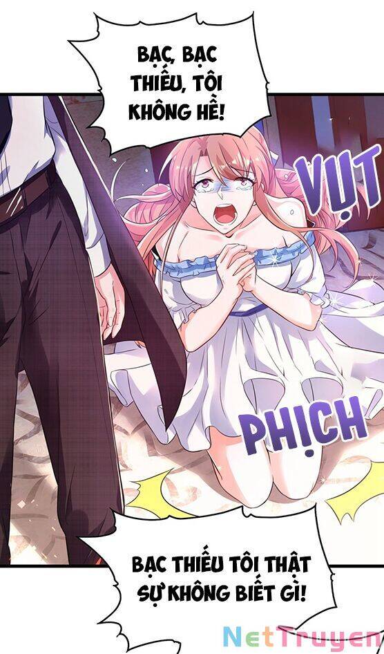 Trùng Sinh Không Gian: Cô Vợ Hào Môn Nóng Bỏng Không Dễ Chọc Chapter 62 - Trang 2