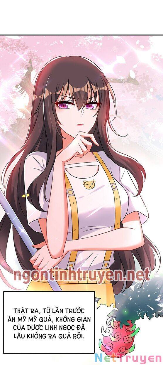 Trùng Sinh Không Gian: Cô Vợ Hào Môn Nóng Bỏng Không Dễ Chọc Chapter 64 - Trang 2