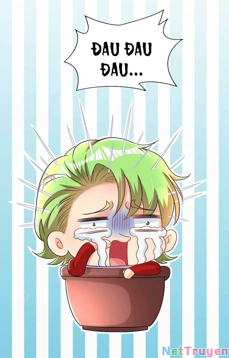 Trùng Sinh Không Gian: Cô Vợ Hào Môn Nóng Bỏng Không Dễ Chọc Chapter 70 - Trang 2