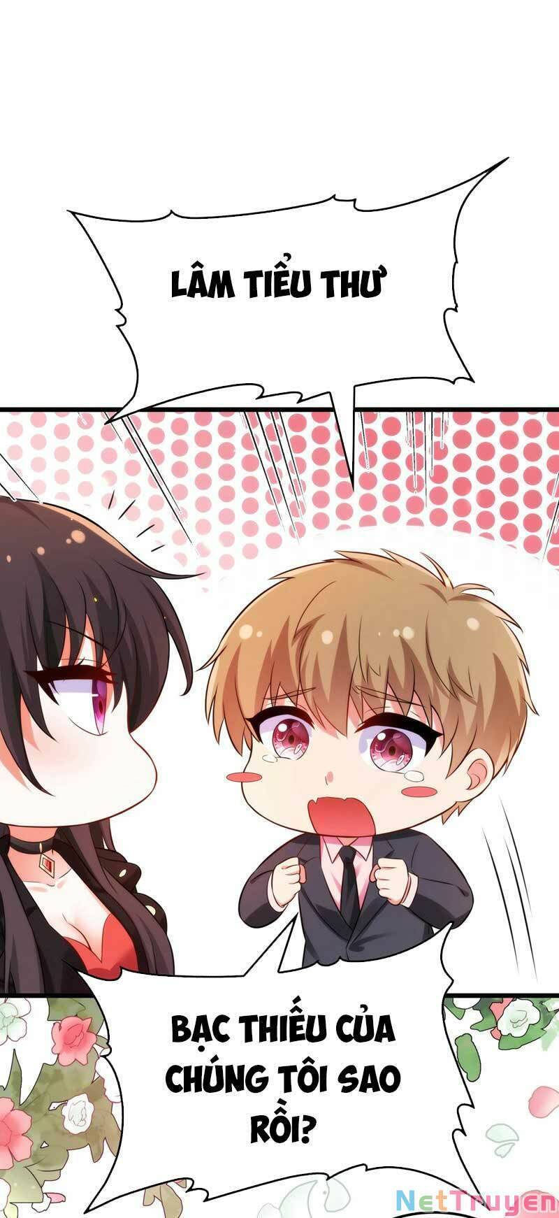 Trùng Sinh Không Gian: Cô Vợ Hào Môn Nóng Bỏng Không Dễ Chọc Chapter 73 - Trang 2