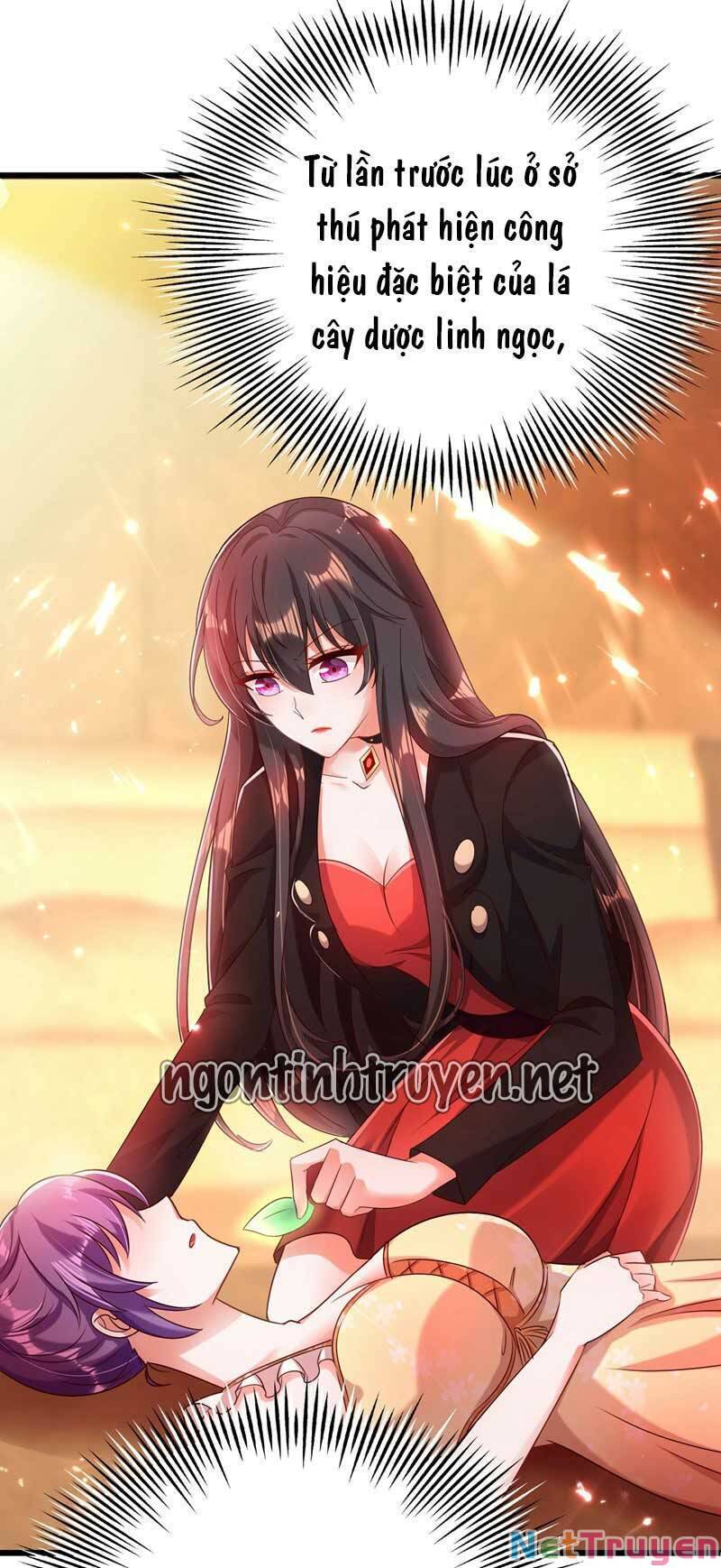 Trùng Sinh Không Gian: Cô Vợ Hào Môn Nóng Bỏng Không Dễ Chọc Chapter 77 - Trang 2