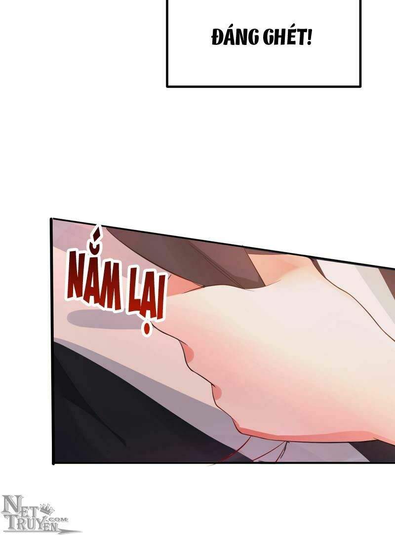 Trùng Sinh Không Gian: Cô Vợ Hào Môn Nóng Bỏng Không Dễ Chọc Chapter 8.5 - Trang 2