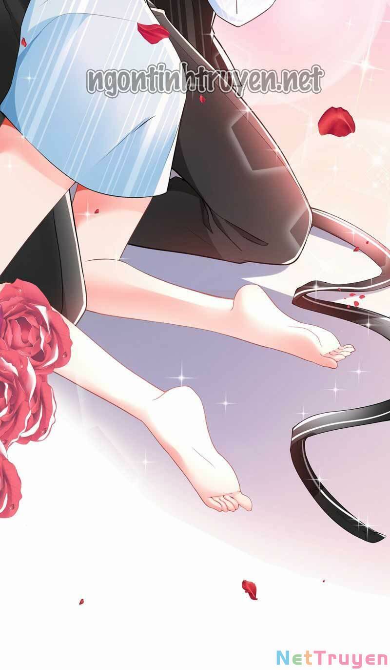 Trùng Sinh Không Gian: Cô Vợ Hào Môn Nóng Bỏng Không Dễ Chọc Chapter 81 - Trang 2