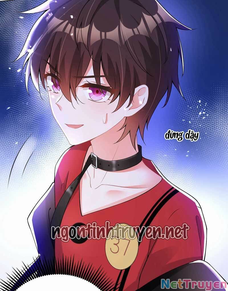 Trùng Sinh Không Gian: Cô Vợ Hào Môn Nóng Bỏng Không Dễ Chọc Chapter 81 - Trang 2