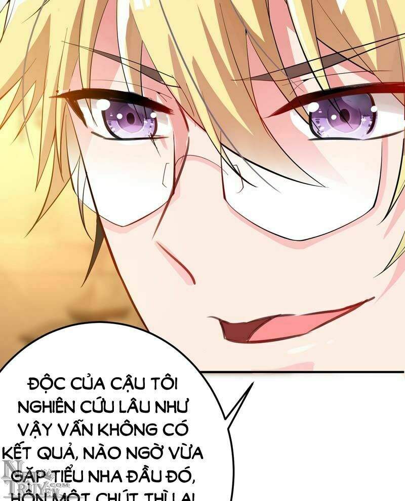 Trùng Sinh Không Gian: Cô Vợ Hào Môn Nóng Bỏng Không Dễ Chọc Chapter 9 - Trang 2