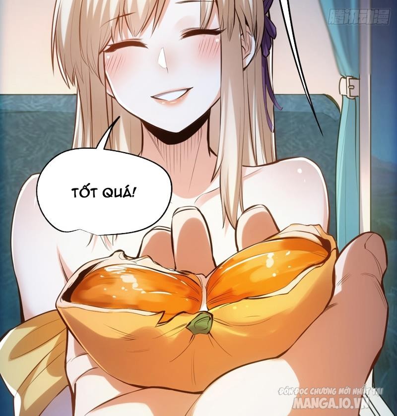 Trùng Sinh Không Làm Chạn Vương – Ta Một Mình Thăng Cấp Khắc Kim Chapter 1 - Trang 2