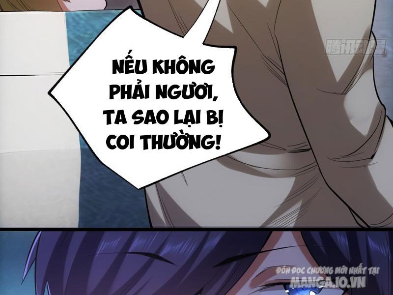 Trùng Sinh Không Làm Chạn Vương – Ta Một Mình Thăng Cấp Khắc Kim Chapter 2 - Trang 2