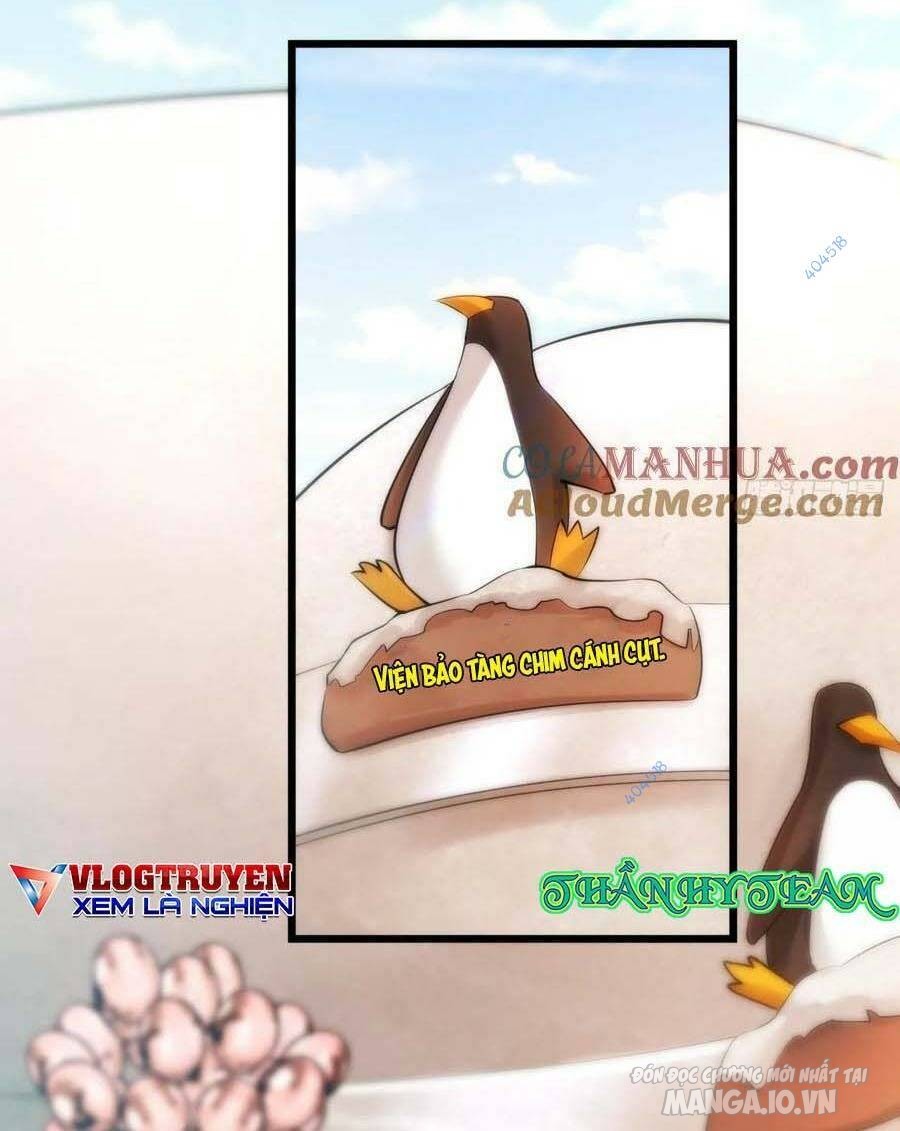 Trùng Sinh Không Làm Chạn Vương – Ta Một Mình Thăng Cấp Khắc Kim Chapter 21 - Trang 2