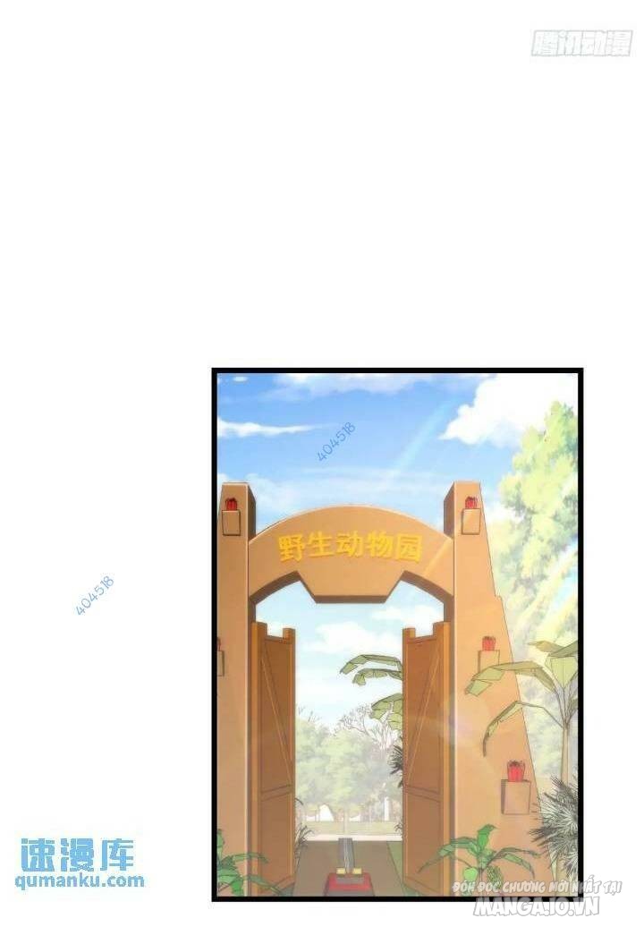 Trùng Sinh Không Làm Chạn Vương – Ta Một Mình Thăng Cấp Khắc Kim Chapter 23 - Trang 2