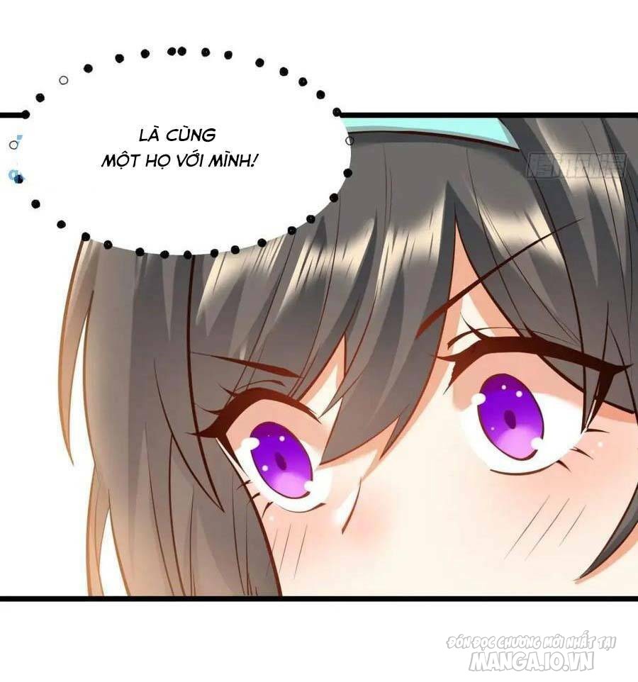 Trùng Sinh Không Làm Chạn Vương – Ta Một Mình Thăng Cấp Khắc Kim Chapter 25 - Trang 2