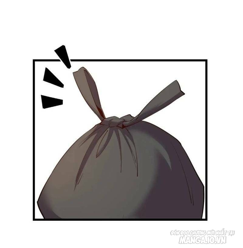 Trùng Sinh Không Làm Chạn Vương – Ta Một Mình Thăng Cấp Khắc Kim Chapter 27 - Trang 2