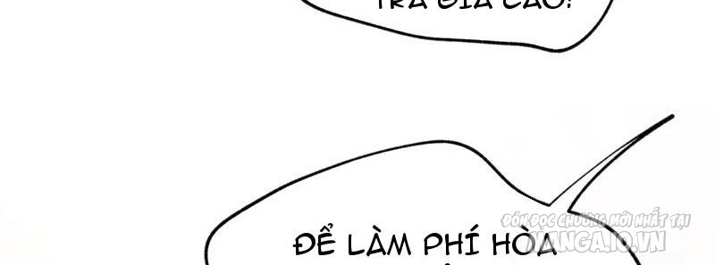 Trùng Sinh Không Làm Chạn Vương – Ta Một Mình Thăng Cấp Khắc Kim Chapter 3 - Trang 2